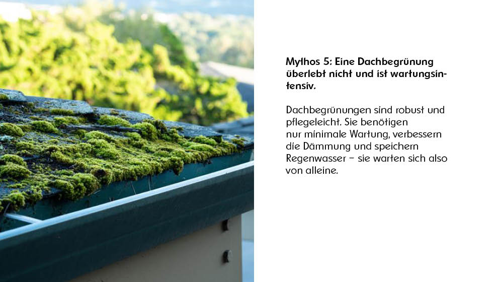 TIROLER_WEB_Karusell Oberflächenentwässerung_990x560px_042026 5